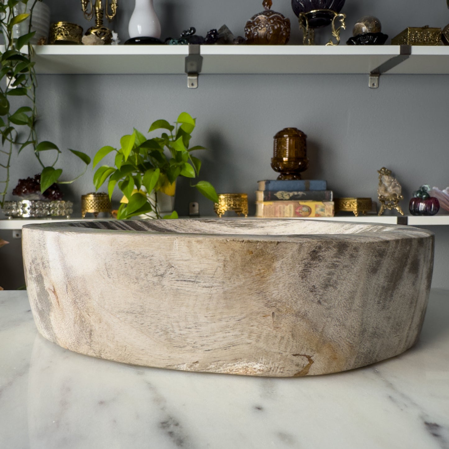 Petrified Wood Bowl | 002