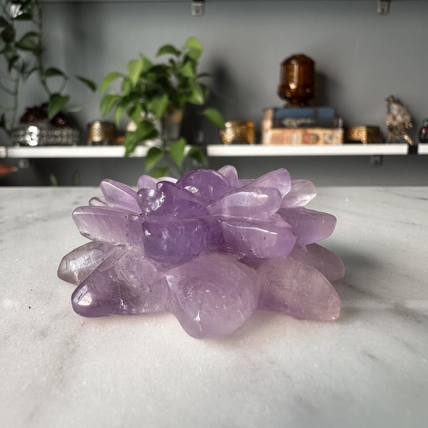 Amethyst Succulent