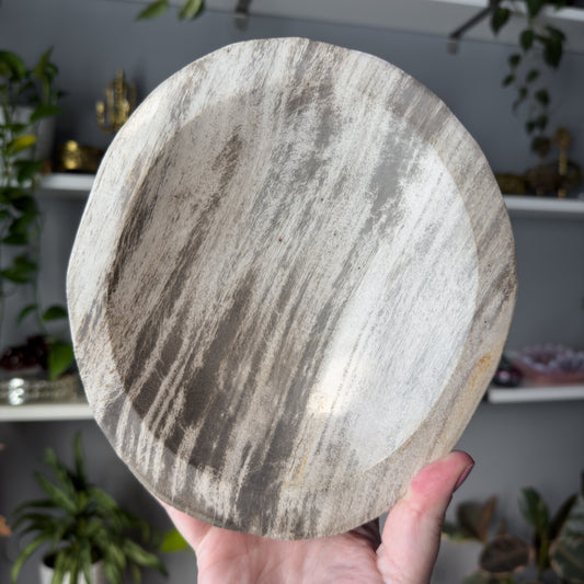 Petrified Wood Bowl | 002
