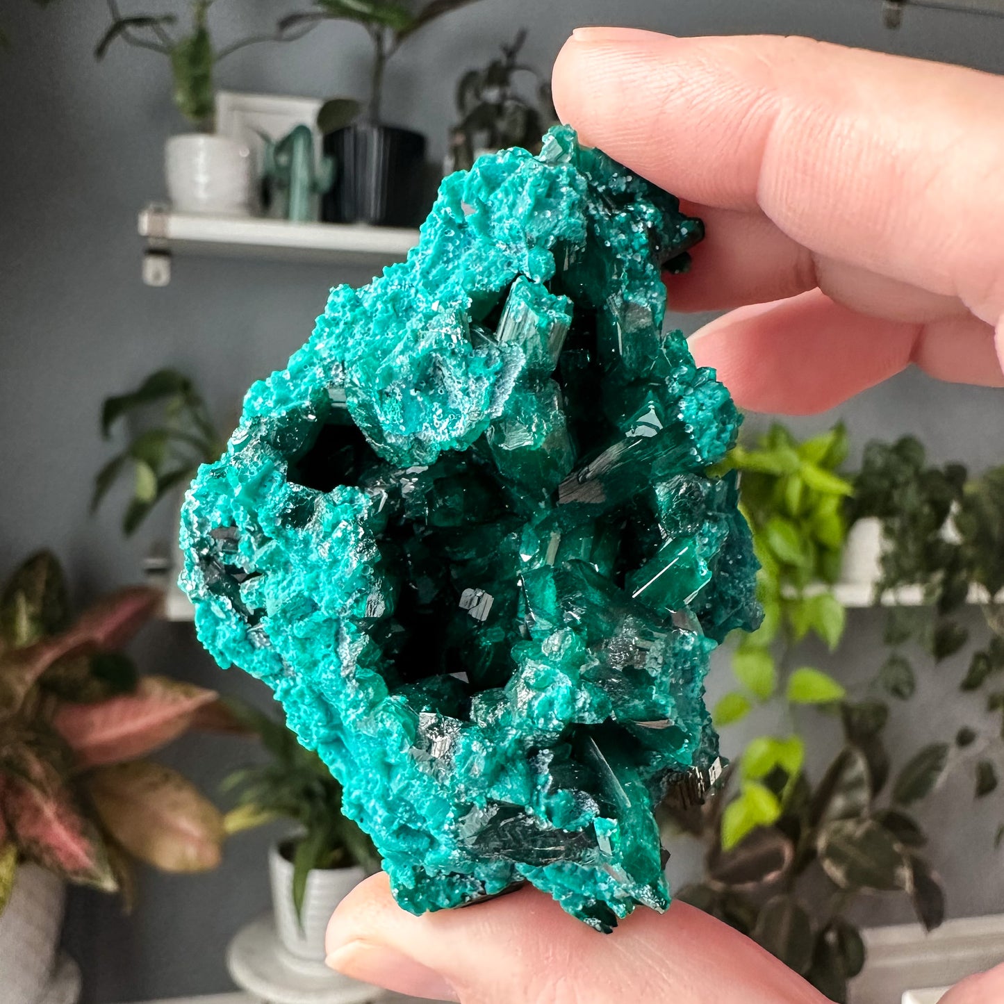 Dioptase | 010