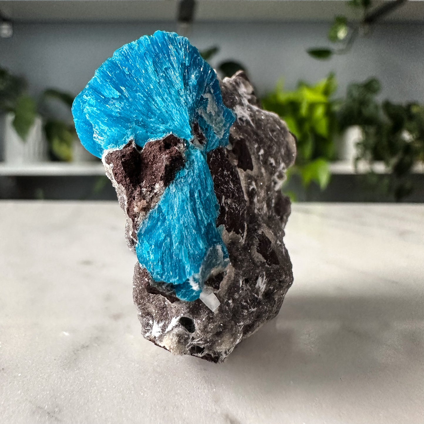 Cavansite | 013