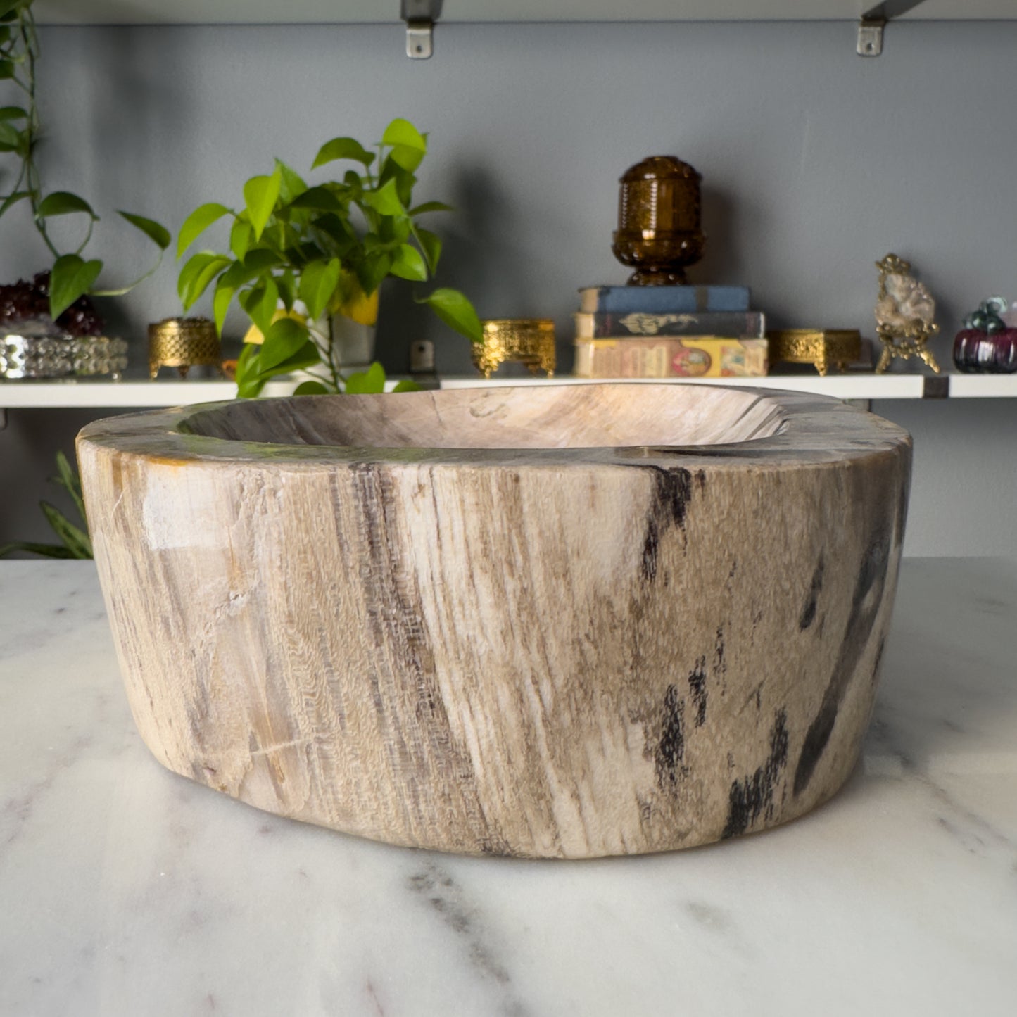 Petrified Wood Bowl | 001