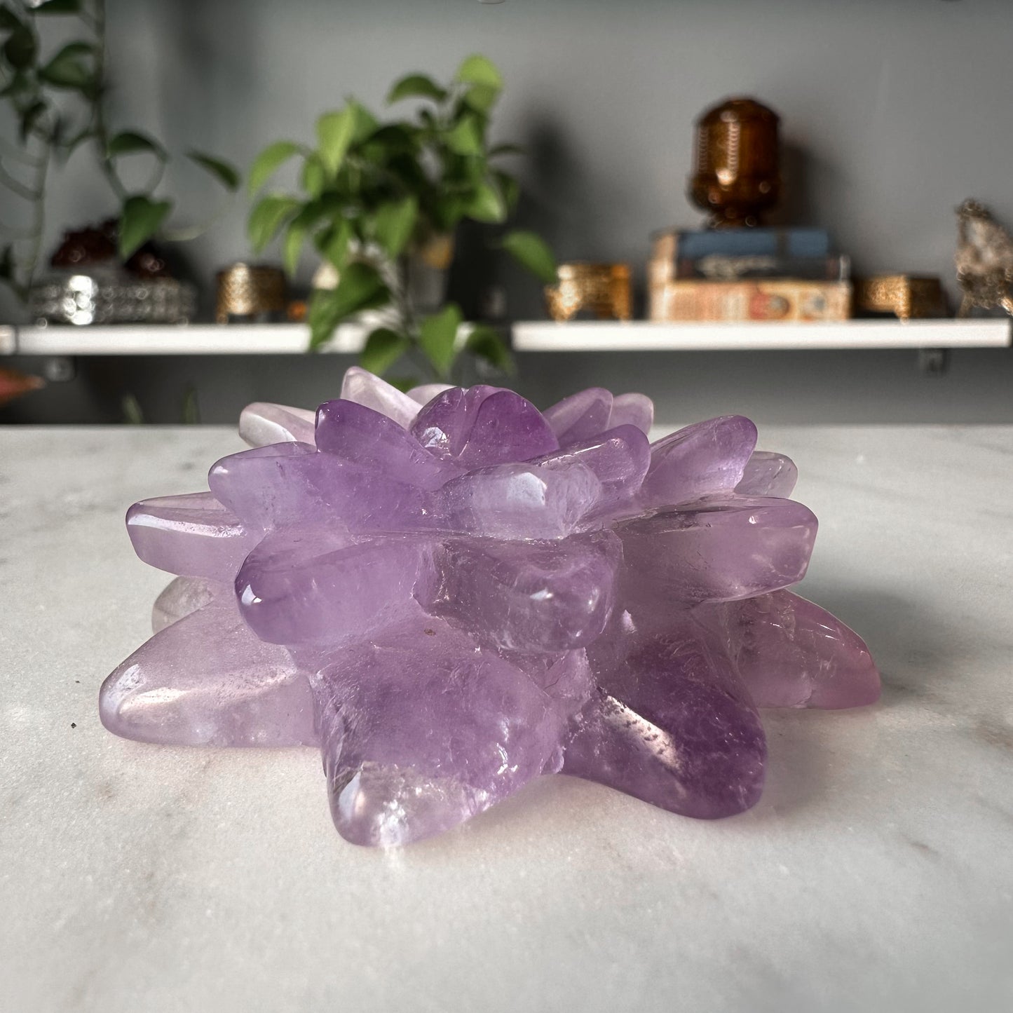 Amethyst Succulent