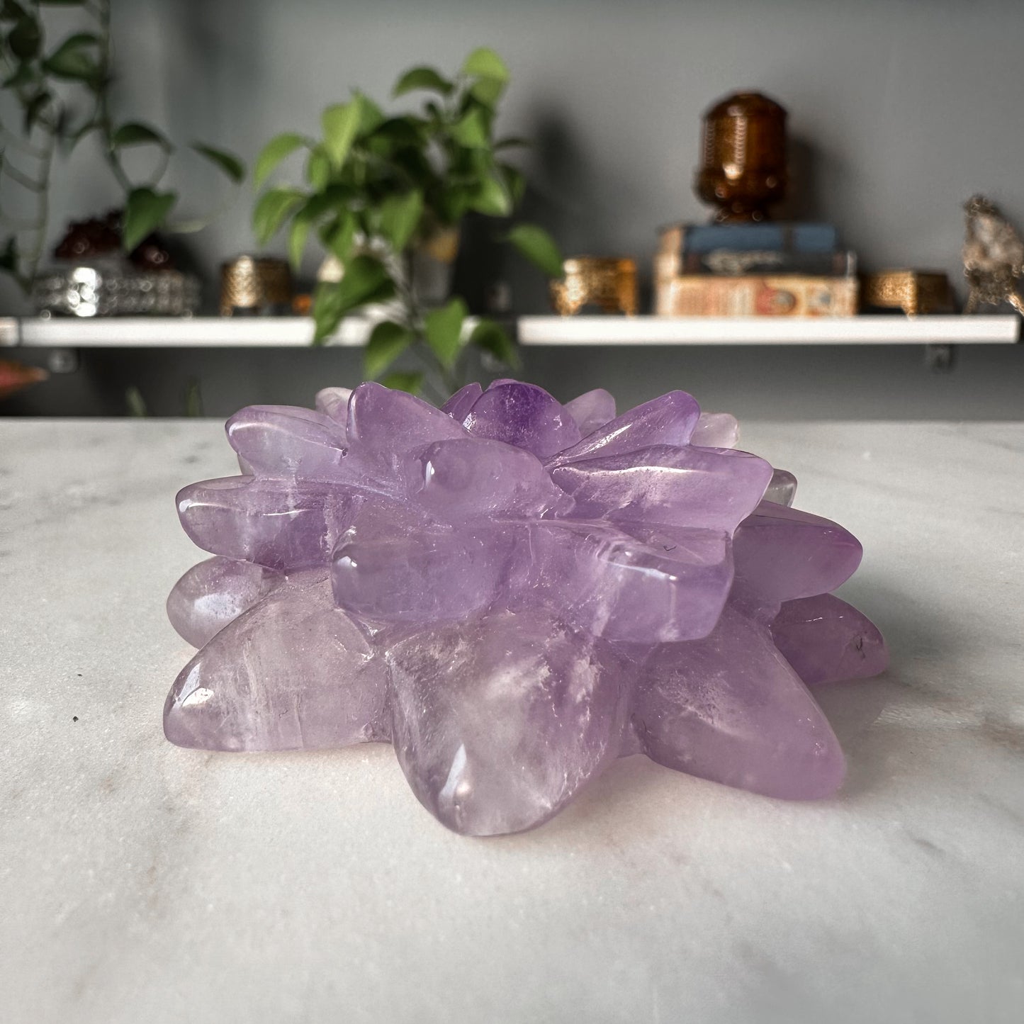 Amethyst Succulent