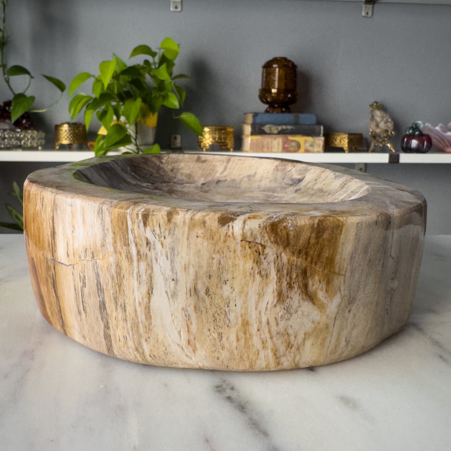 Petrified Wood Bowl | 001