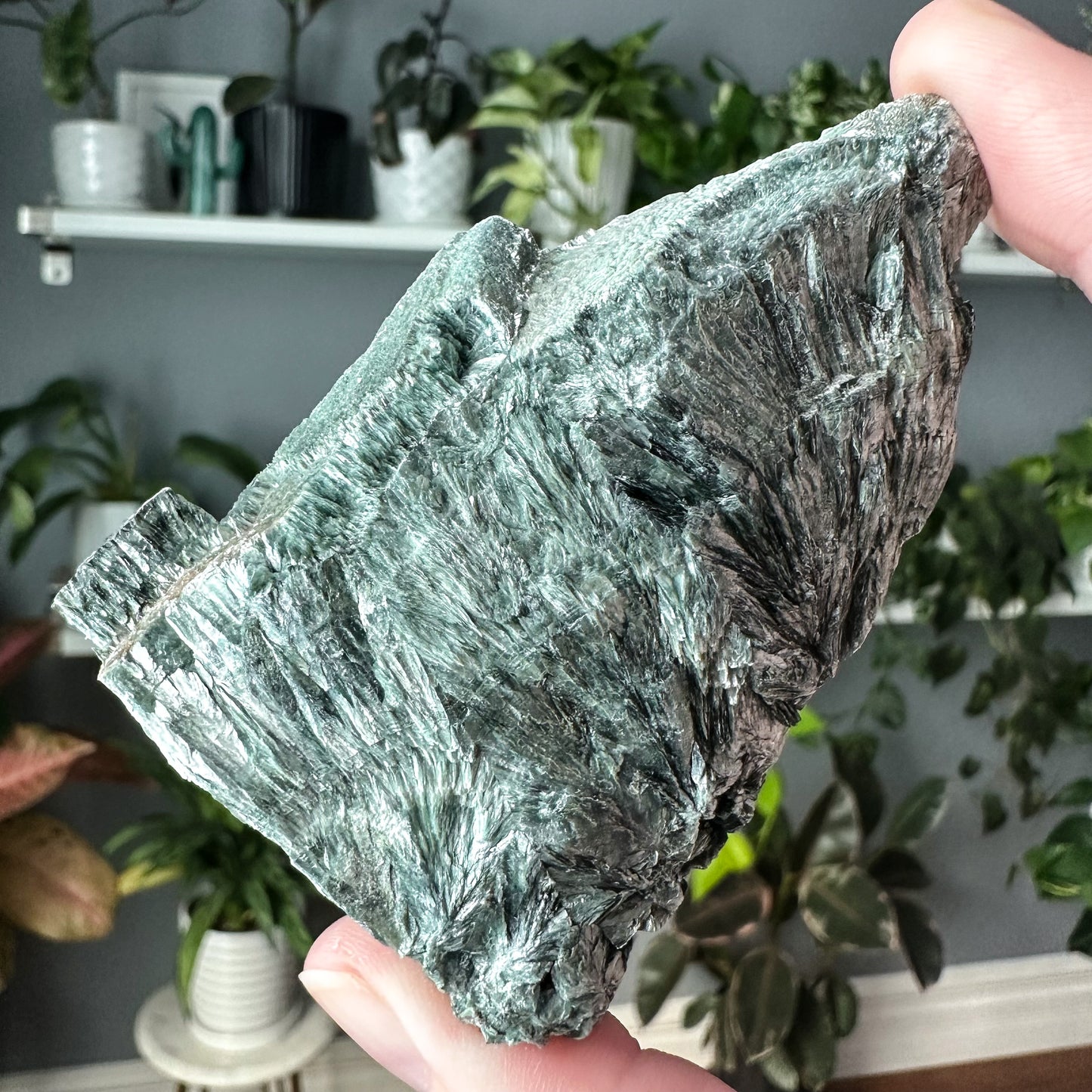 Seraphinite | 007