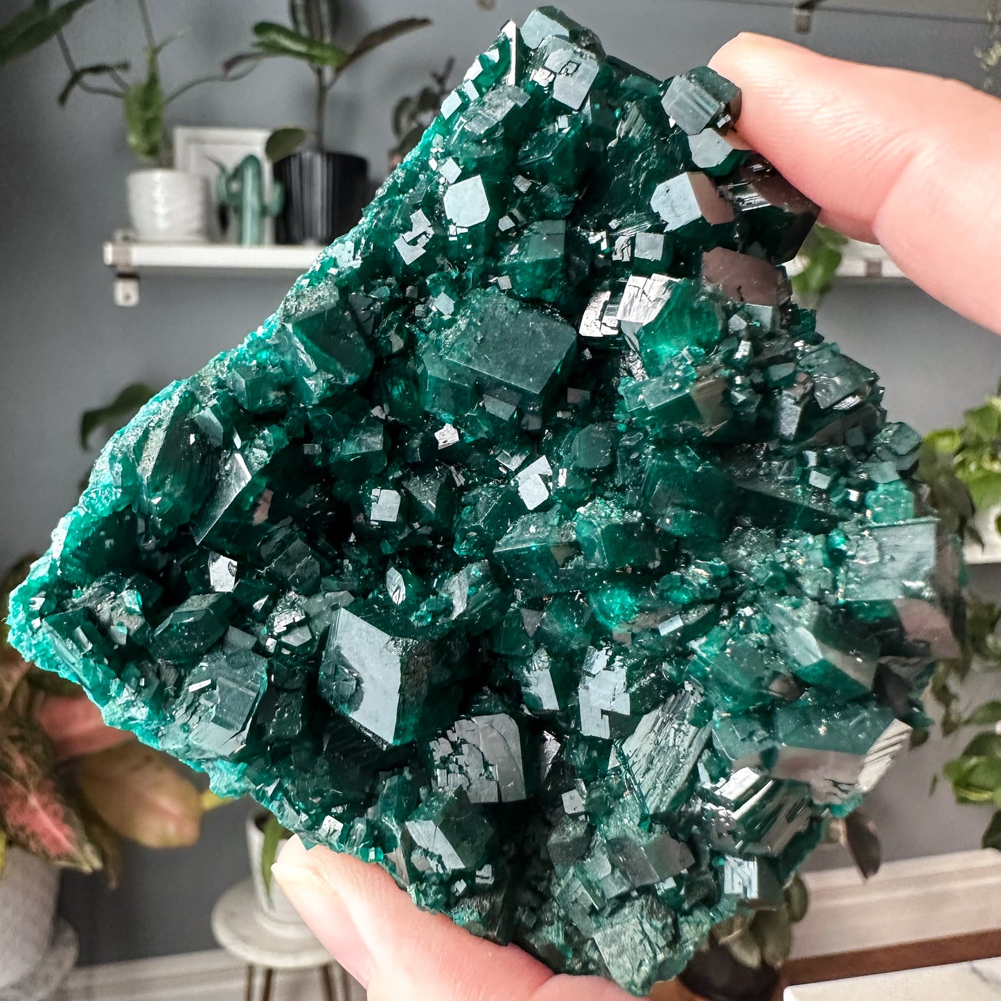 Dioptase | 001