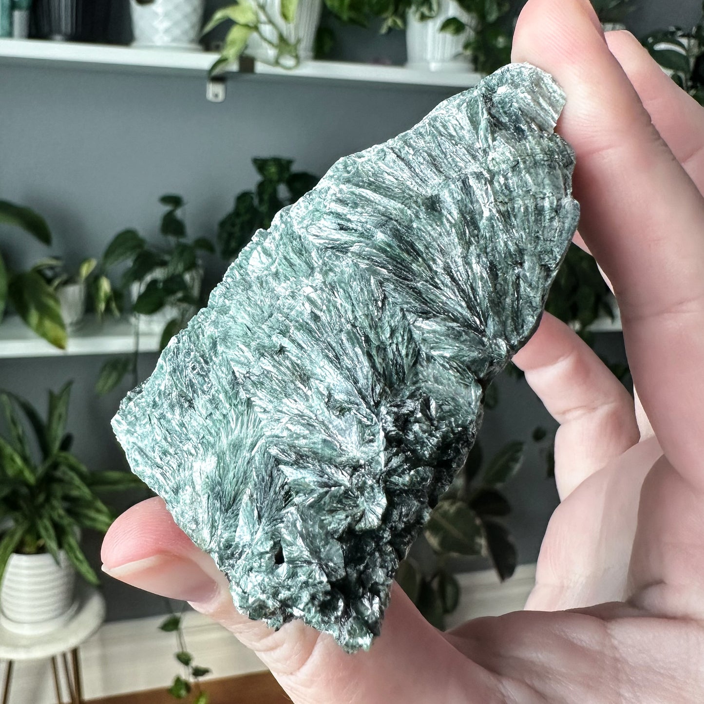 Seraphinite | 007