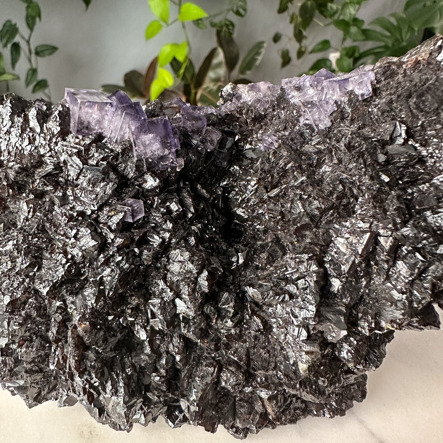 Sphalerite + Fluorite Elmwood Specimen