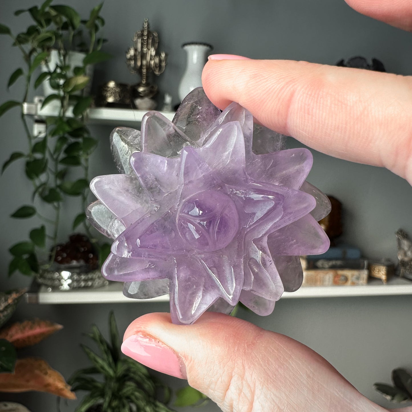 Amethyst Succulent