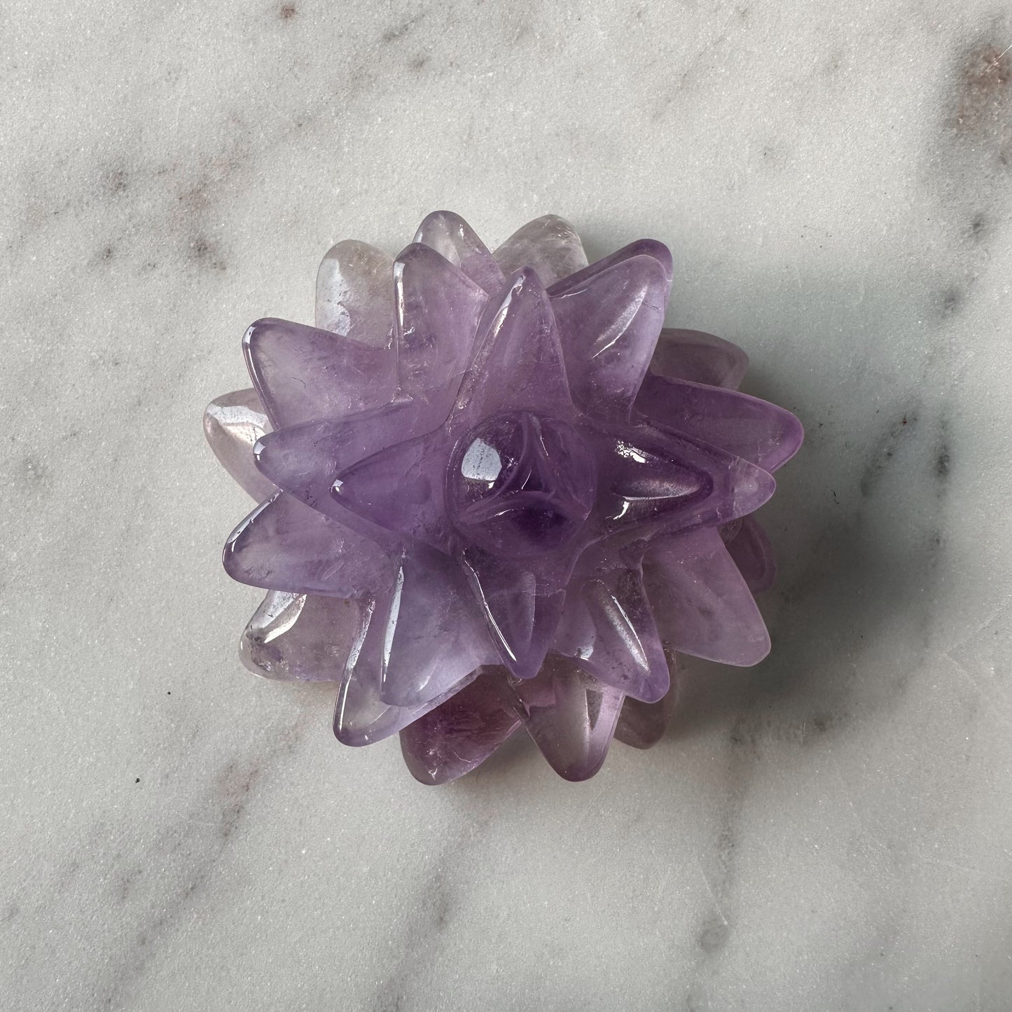 Amethyst Succulent