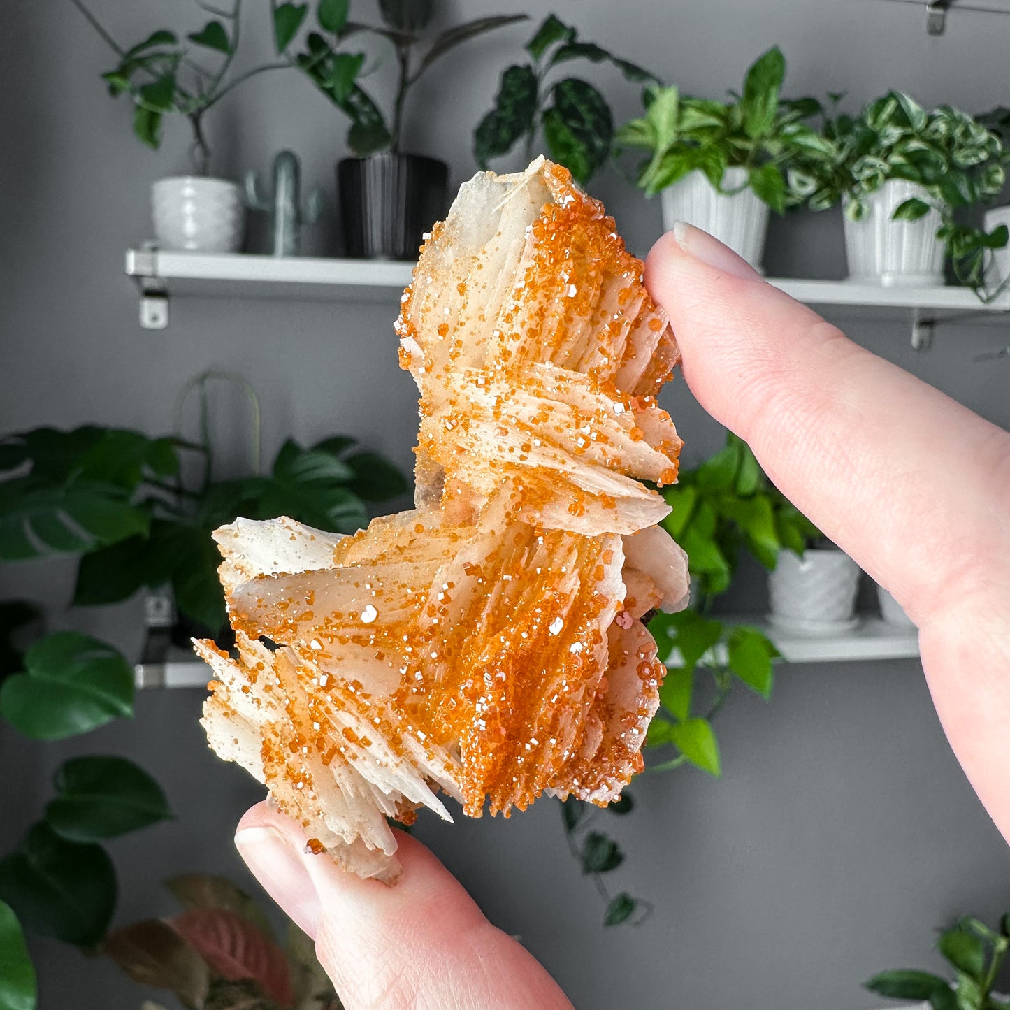 Vanadinite on Barite