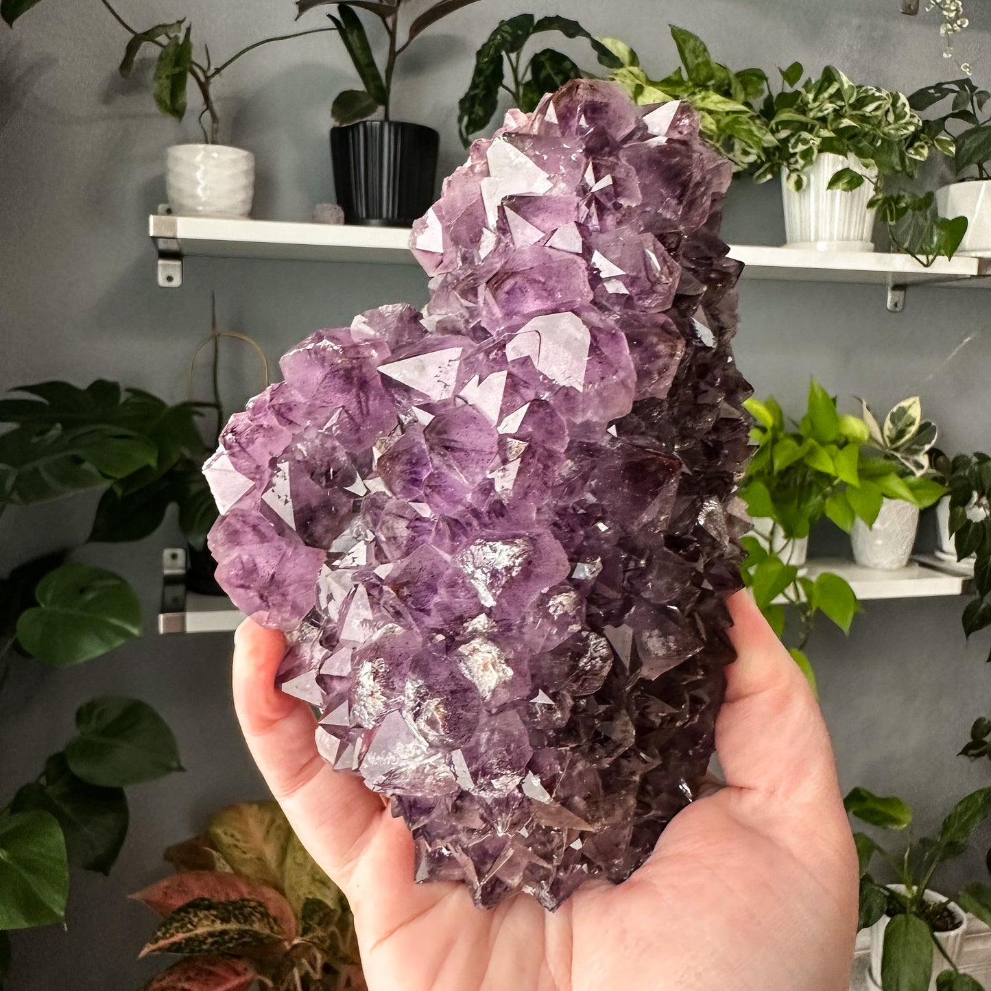 Thunder Bay Amethyst | 003