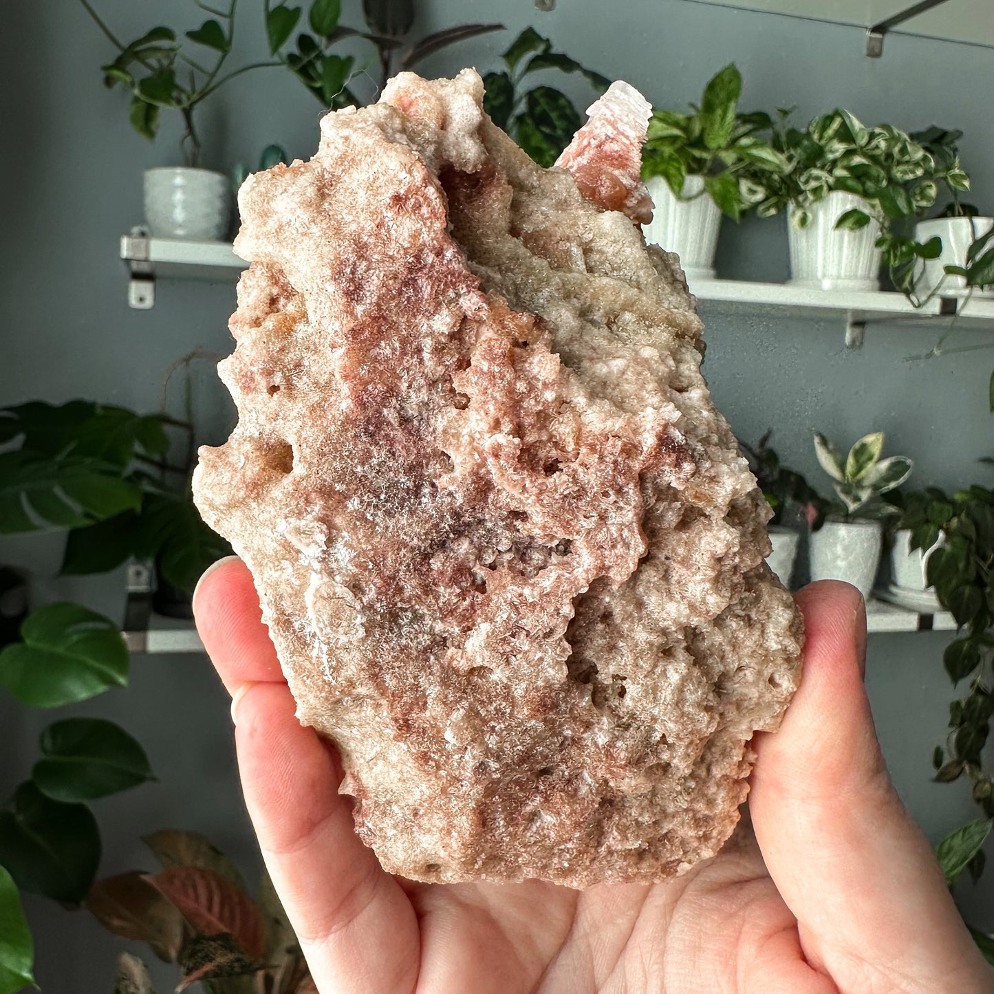 Pink Halite on Trona