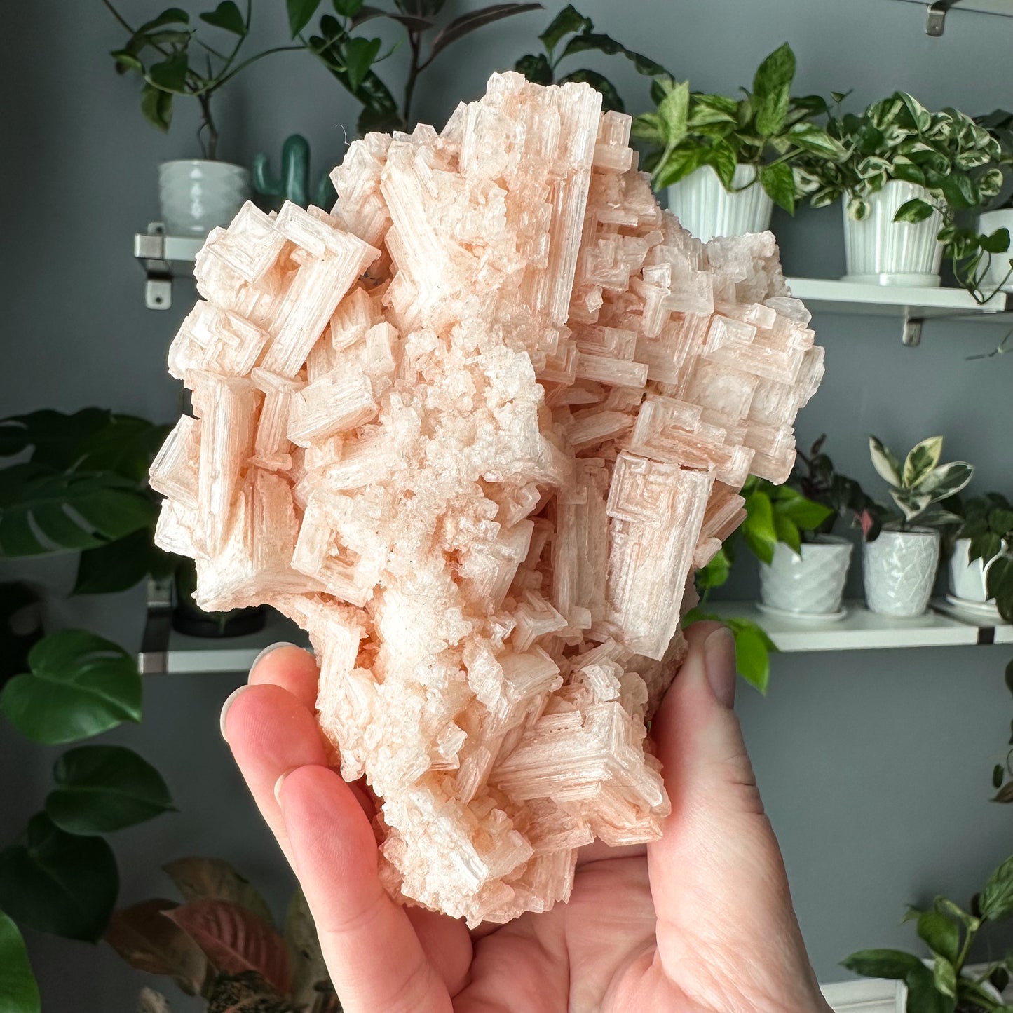 Pink Halite