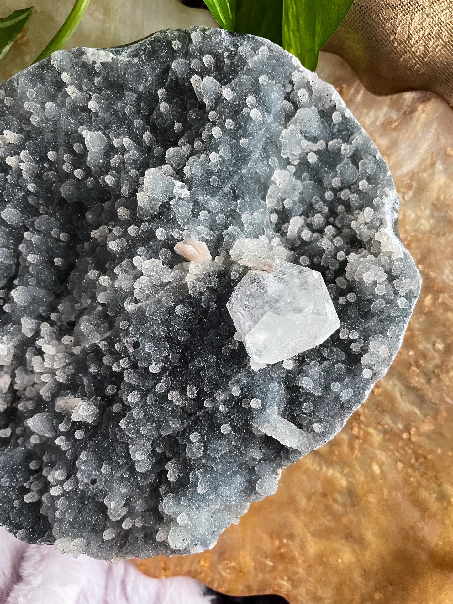 Chalcedony + Apophyllite + Stilbite