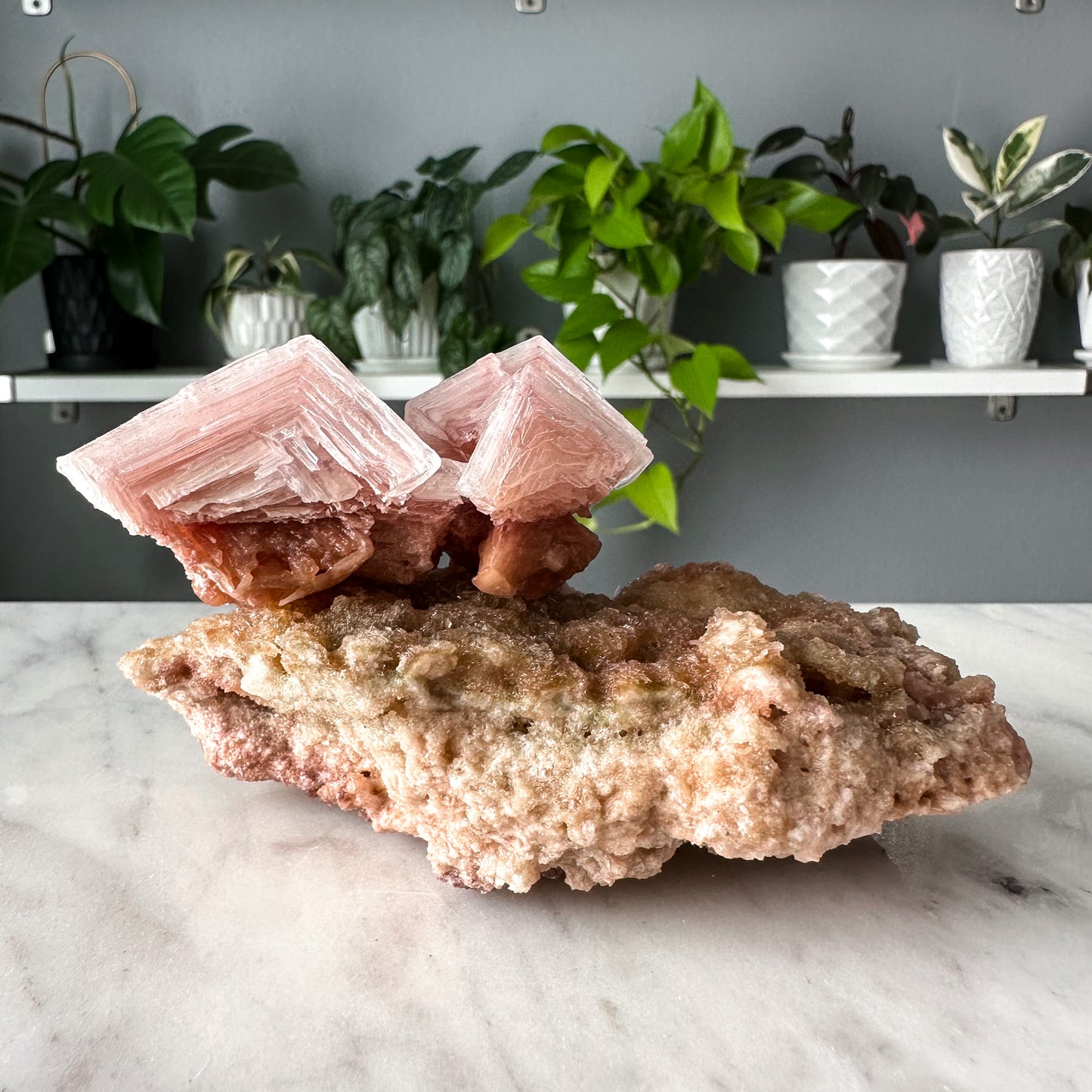 Pink Halite on Trona