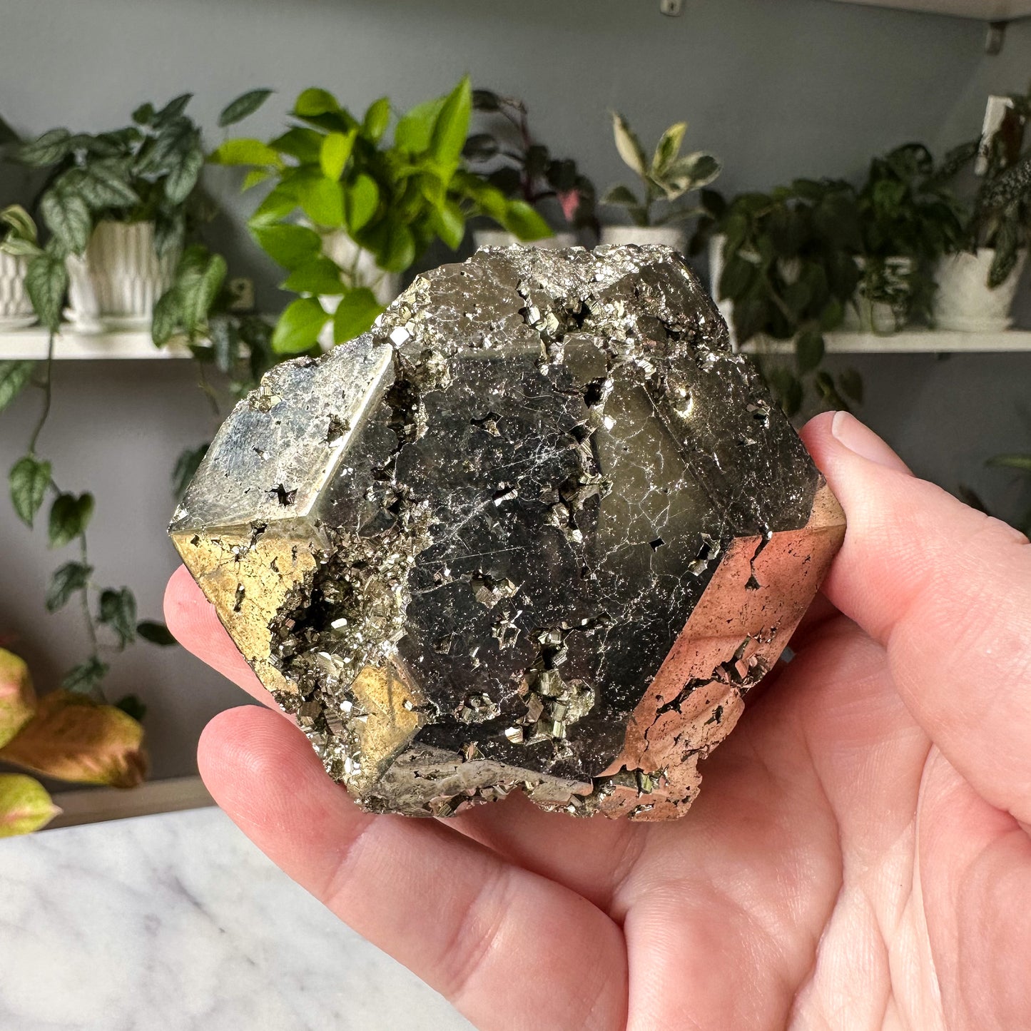 Druzy Pyrite Hexagon