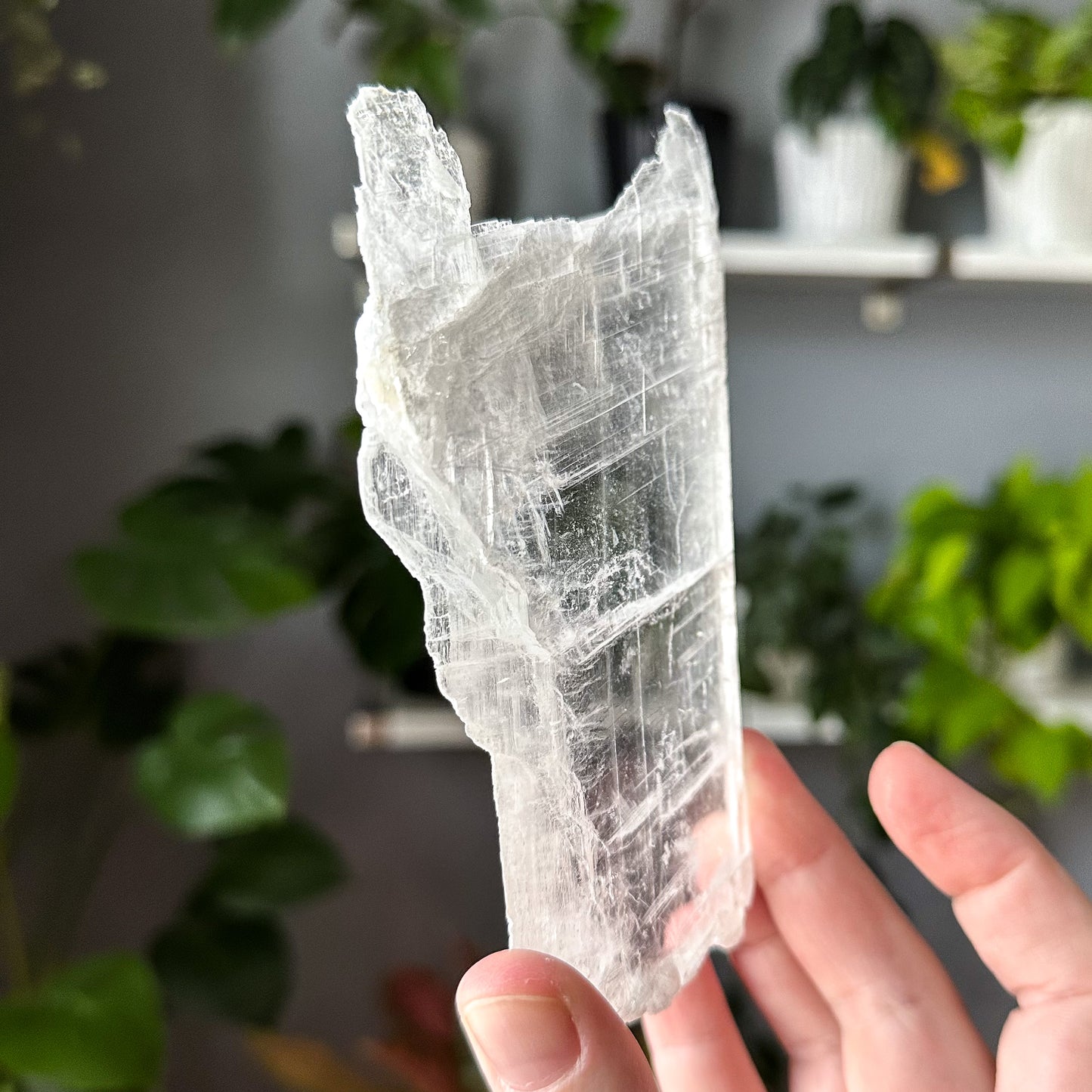 Ice Selenite