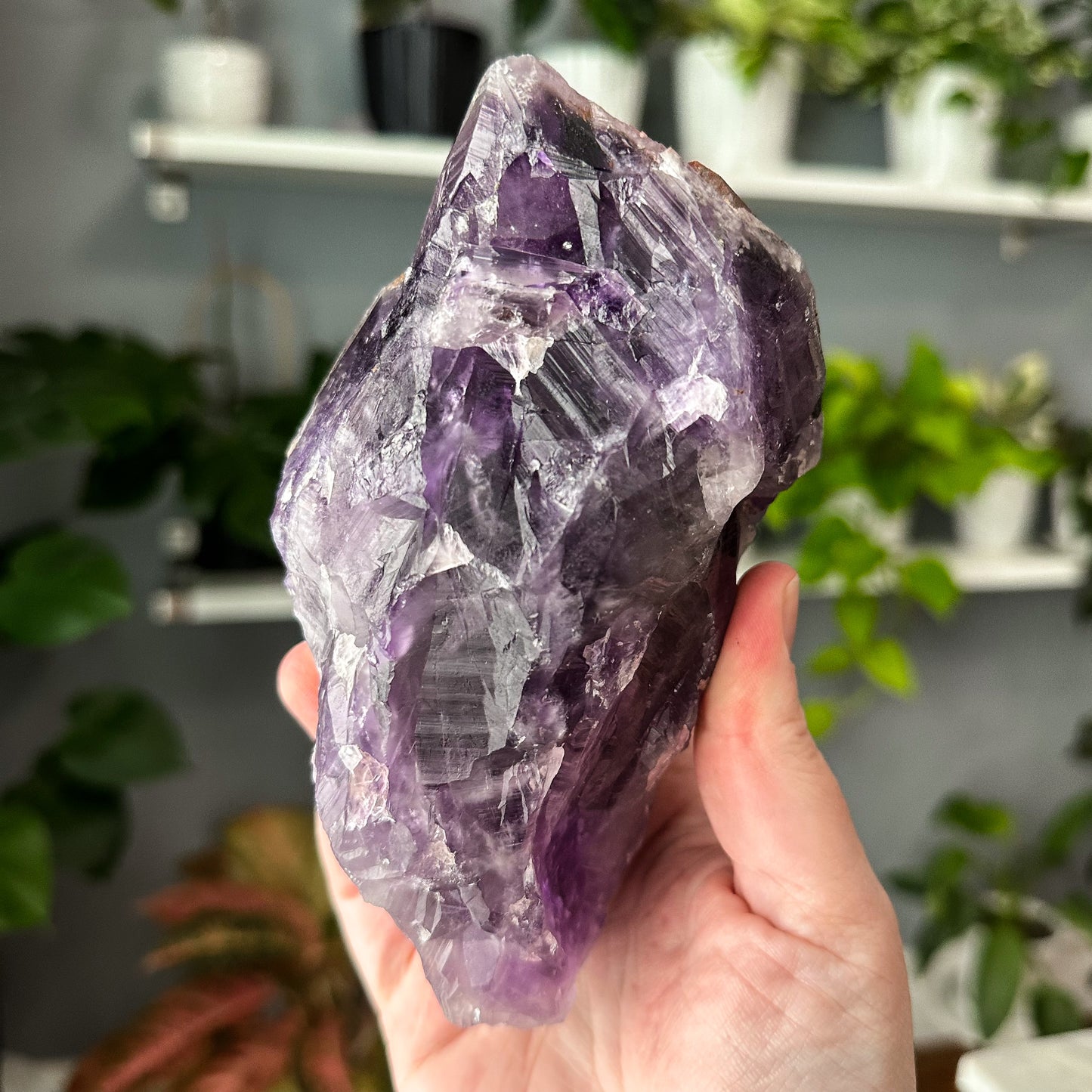 Thunder Bay Amethyst | 004