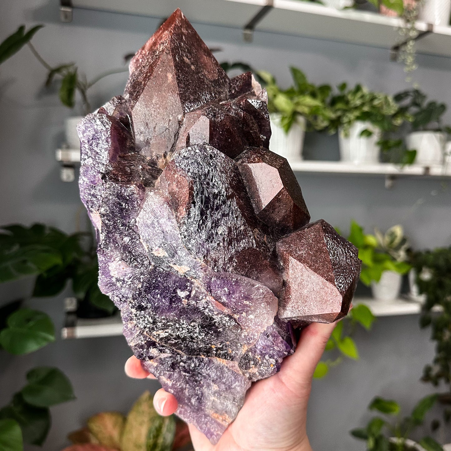 Thunder Bay Amethyst | 001