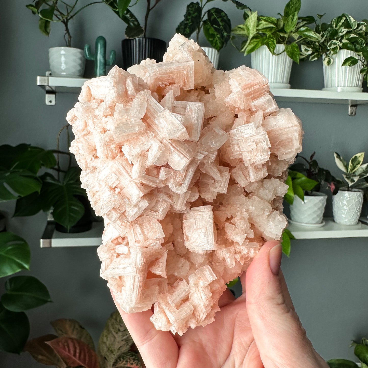 Pink Halite