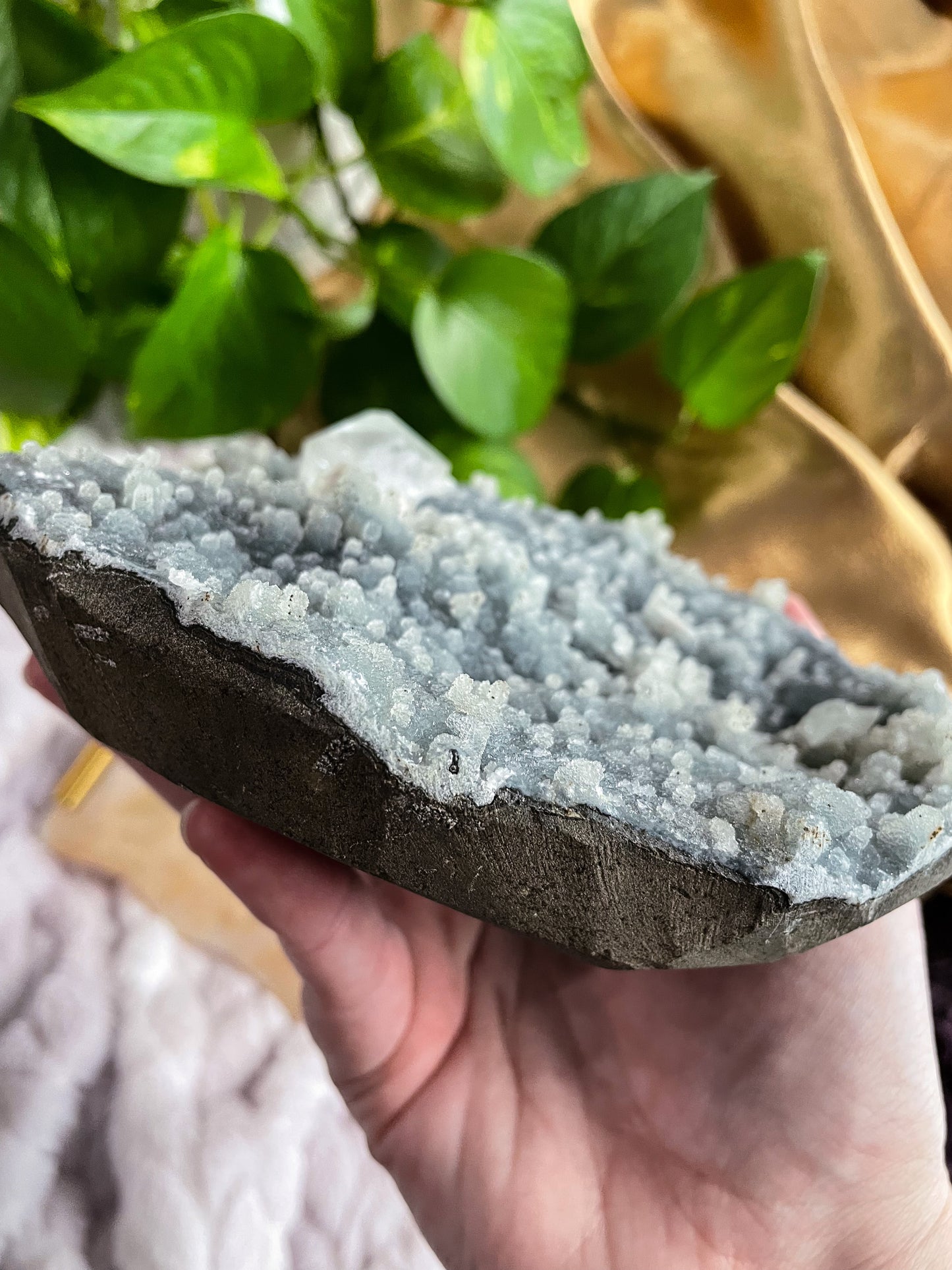 Chalcedony + Apophyllite + Stilbite