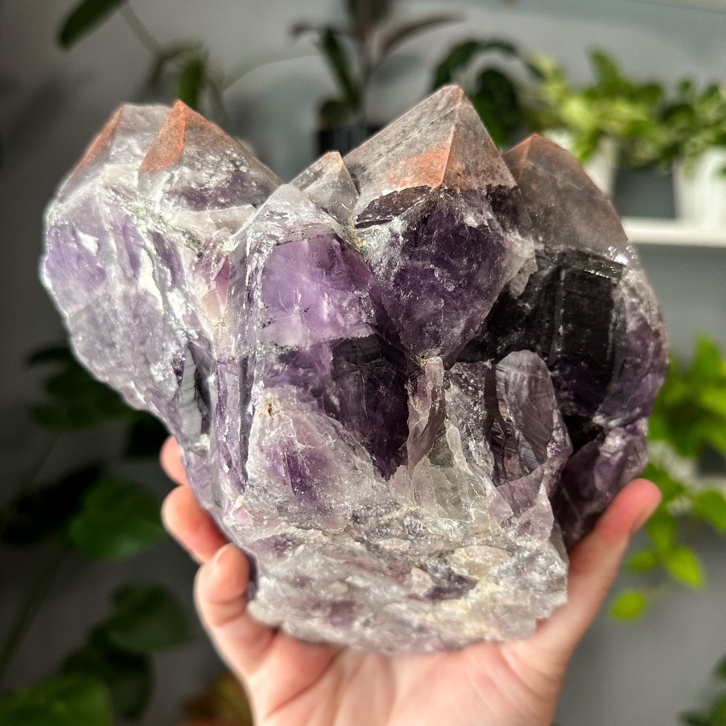 Thunder Bay Amethyst | 007