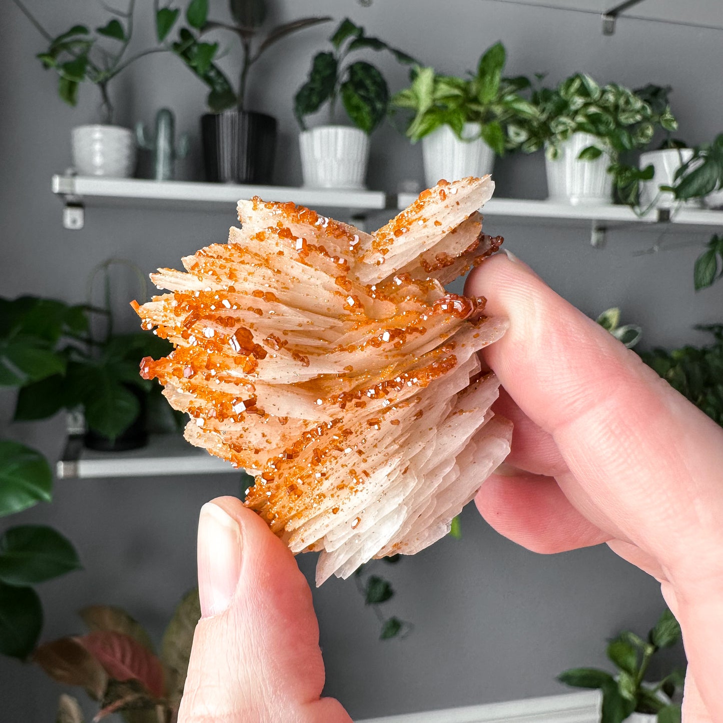 Vanadinite on Barite