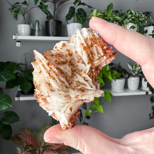 Vanadinite on Barite