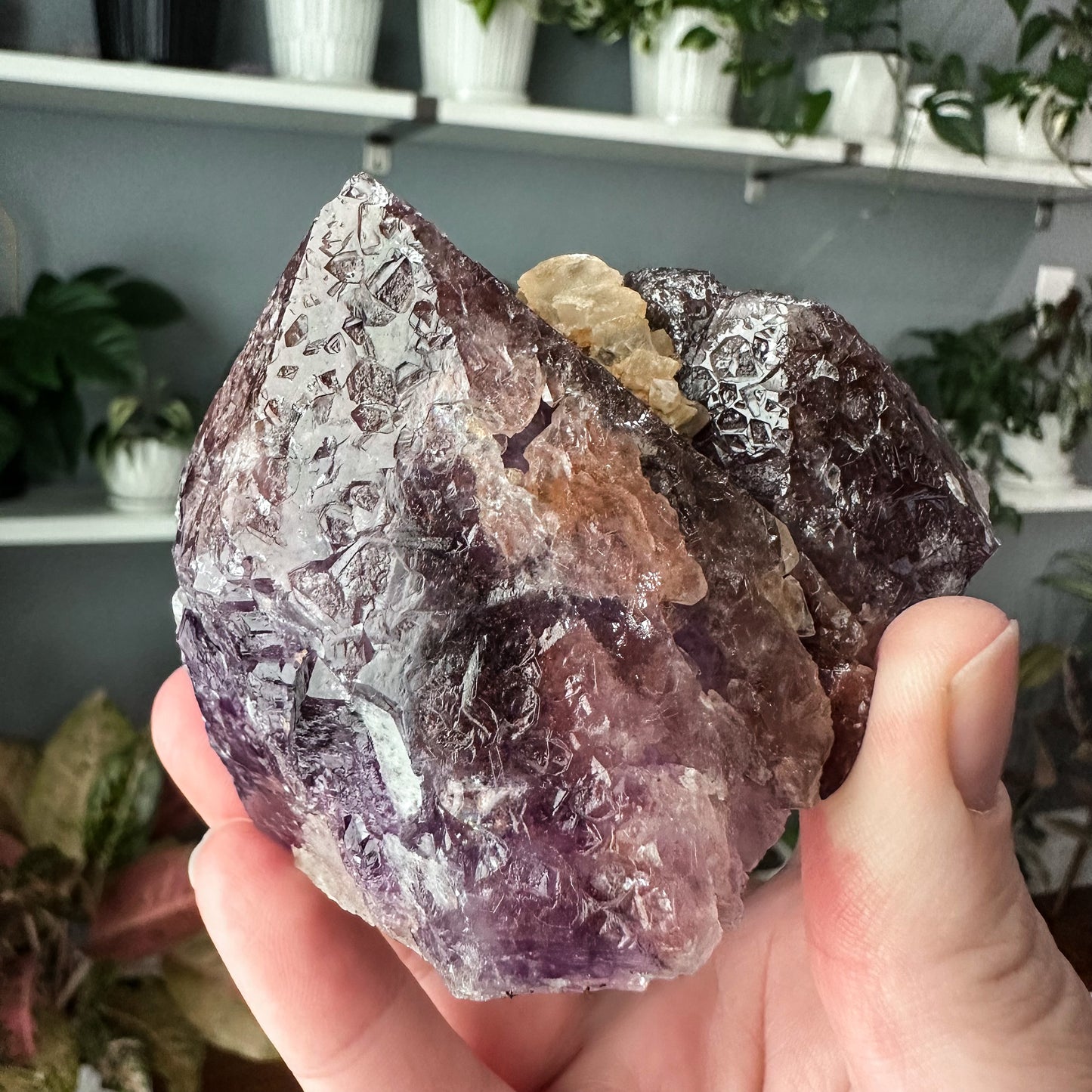 Thunder Bay Amethyst | 015