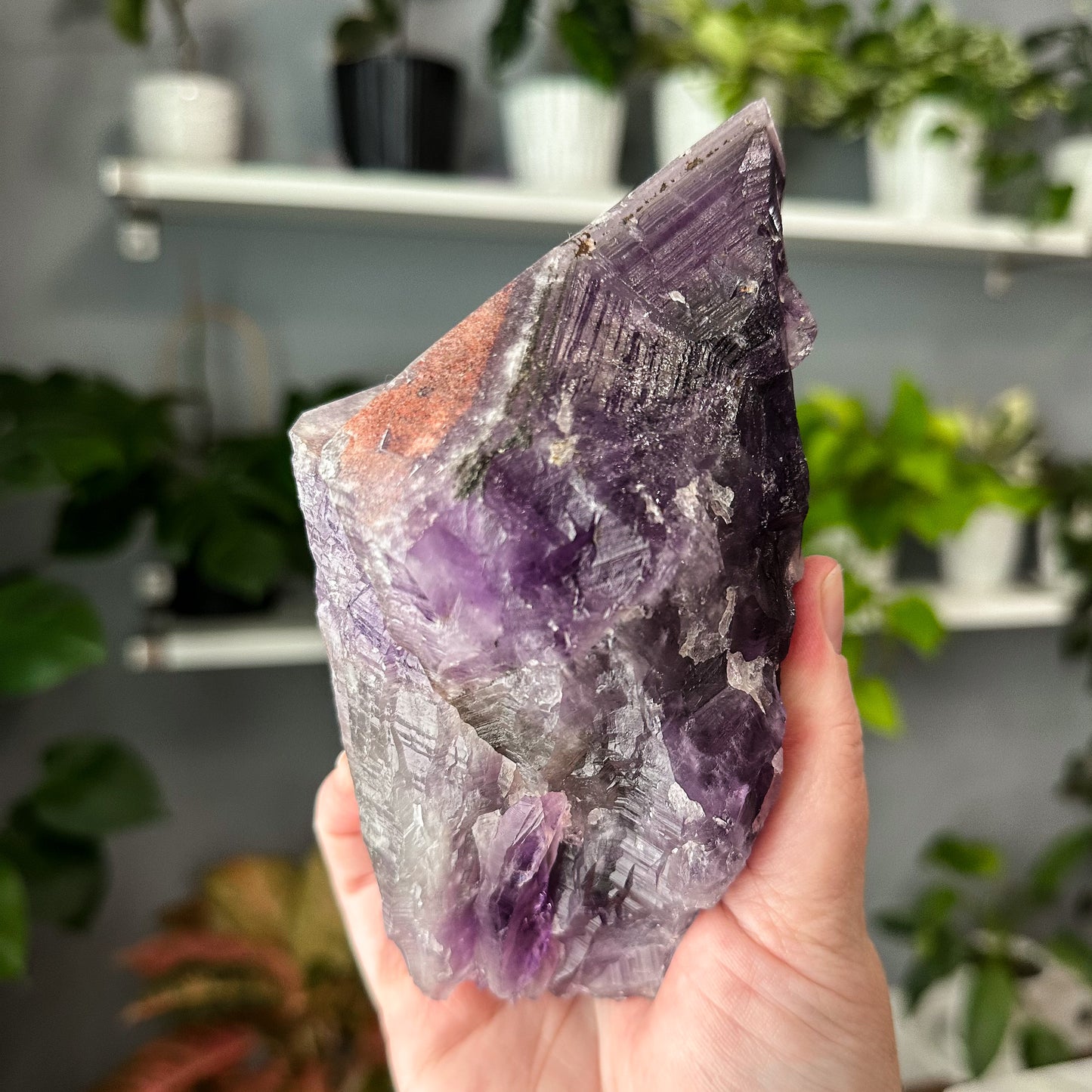 Thunder Bay Amethyst | 004