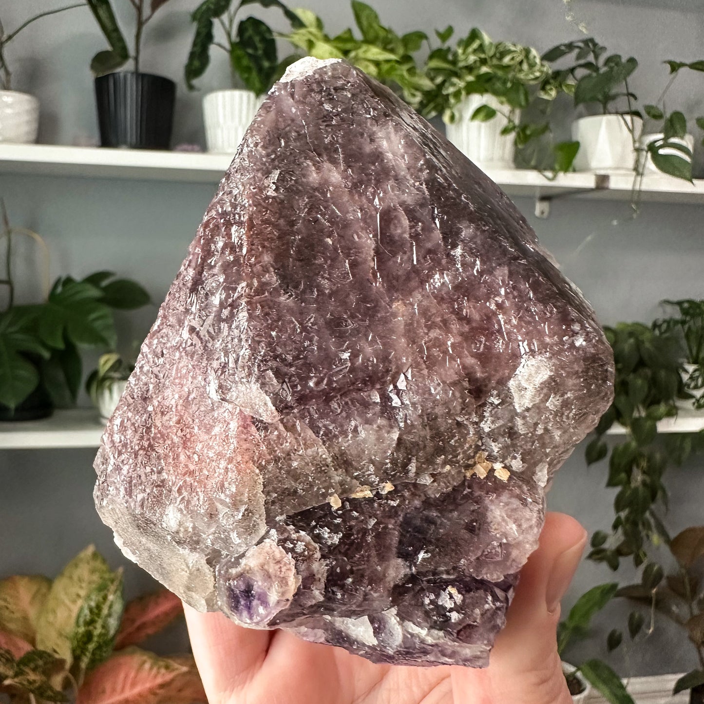 Thunder Bay Amethyst | 008