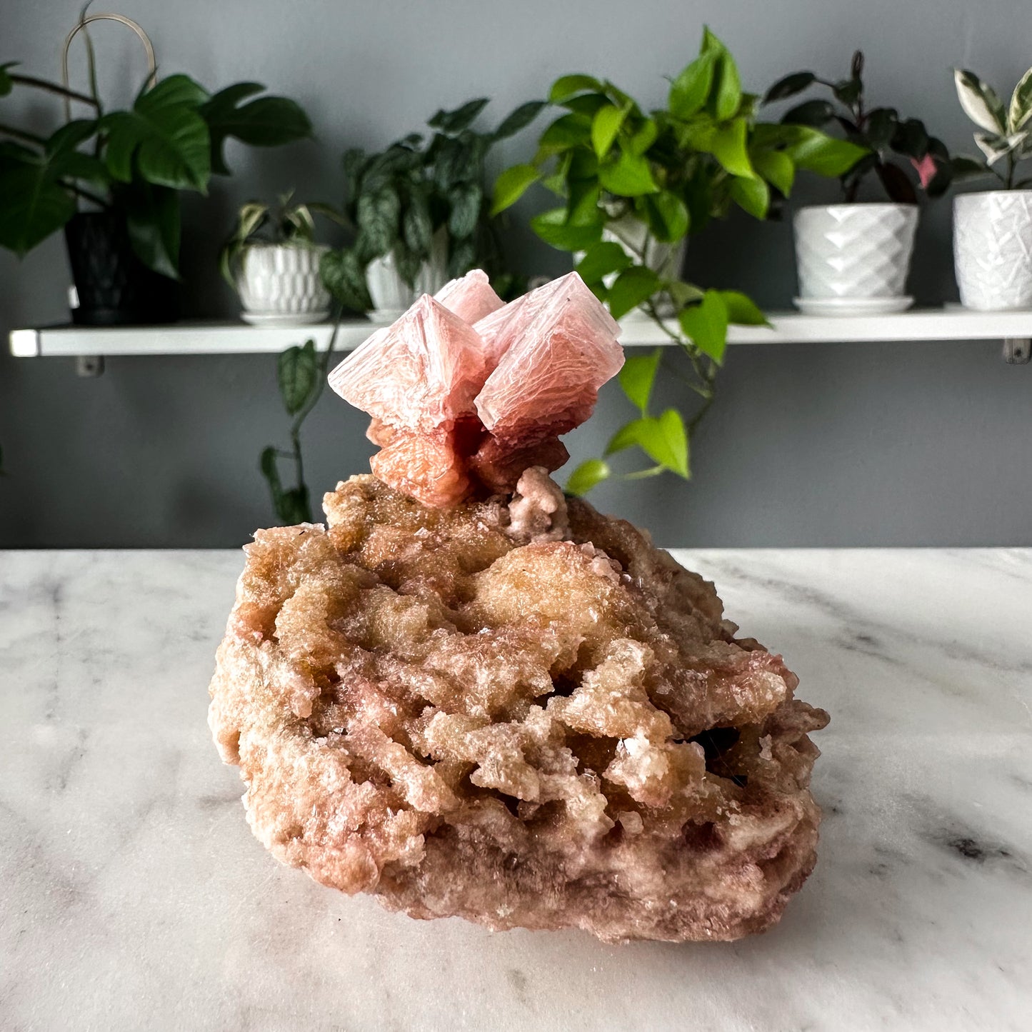 Pink Halite on Trona