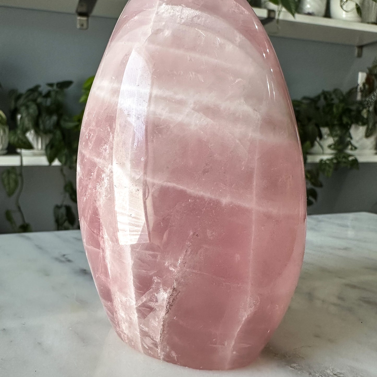 Star Rose Quartz Freeform