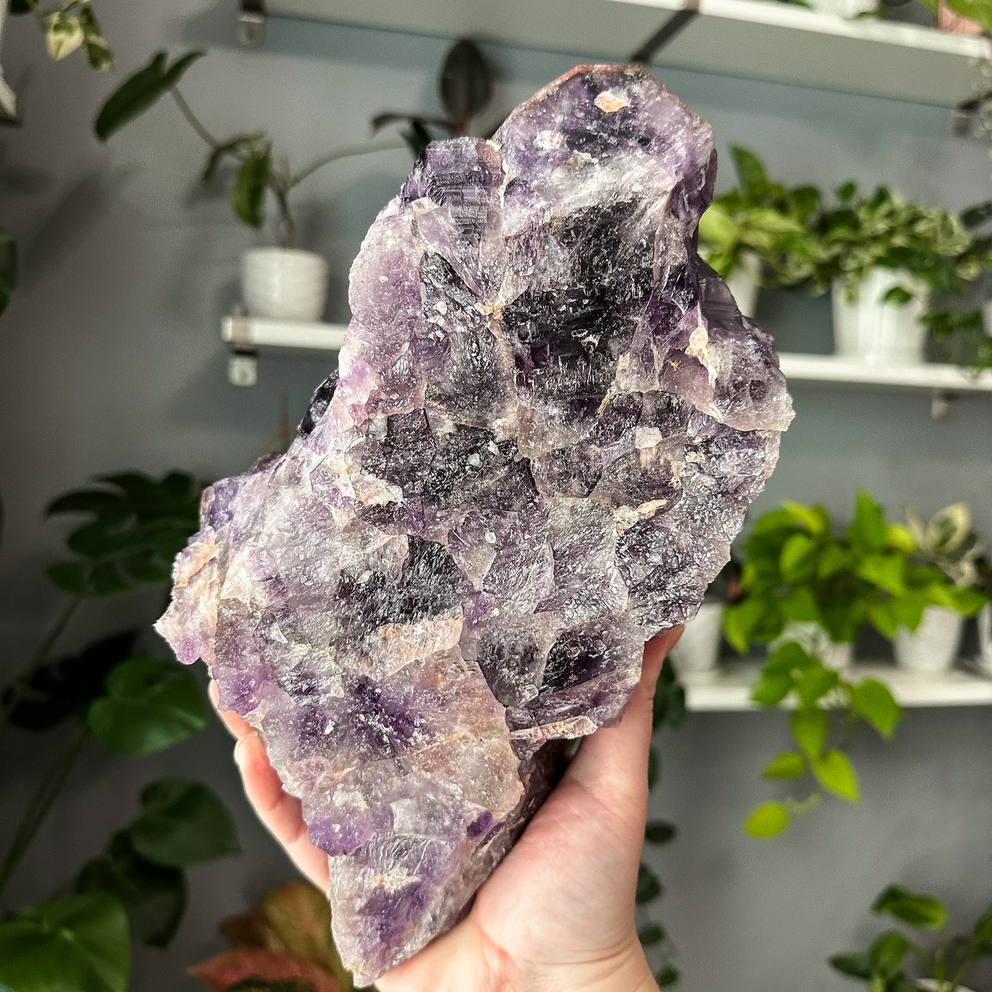 Thunder Bay Amethyst | 001