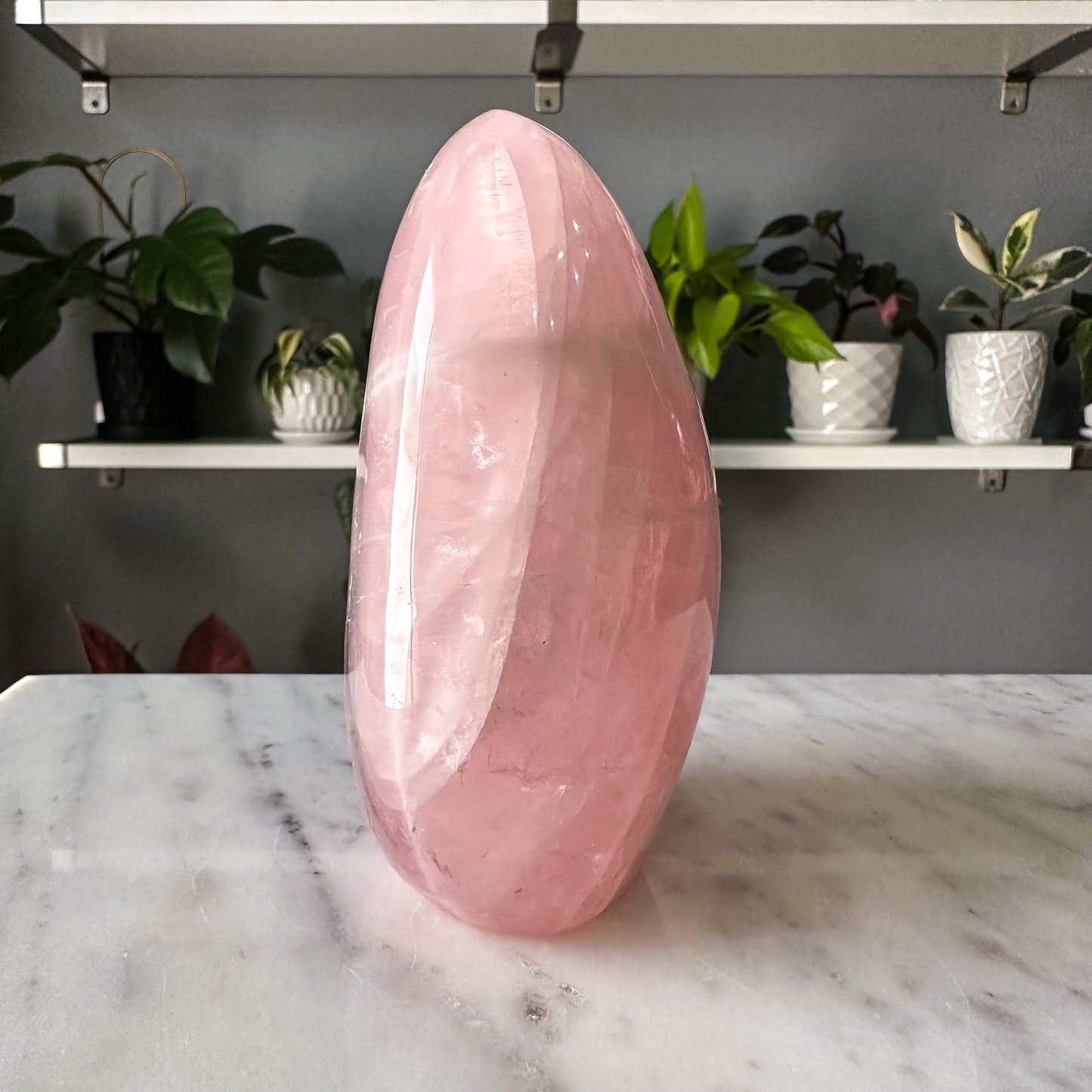 Star Rose Quartz Freeform