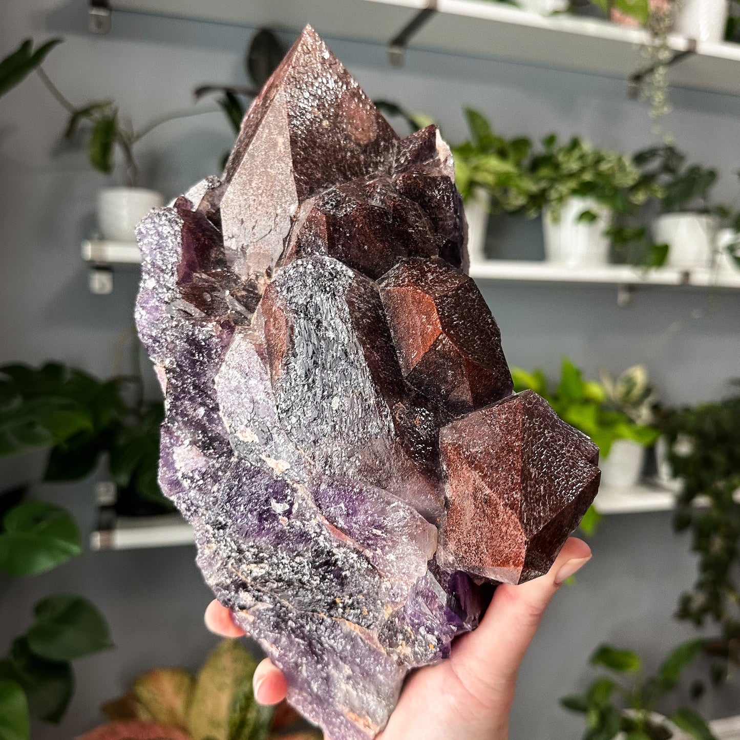 Thunder Bay Amethyst | 001