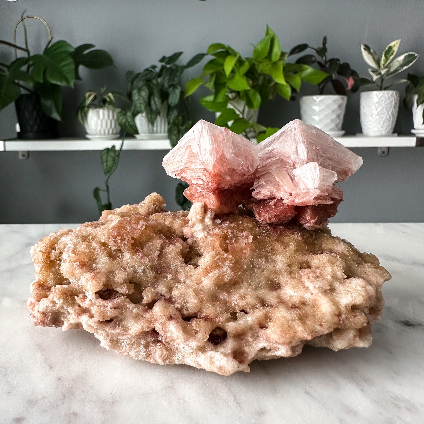 Pink Halite on Trona