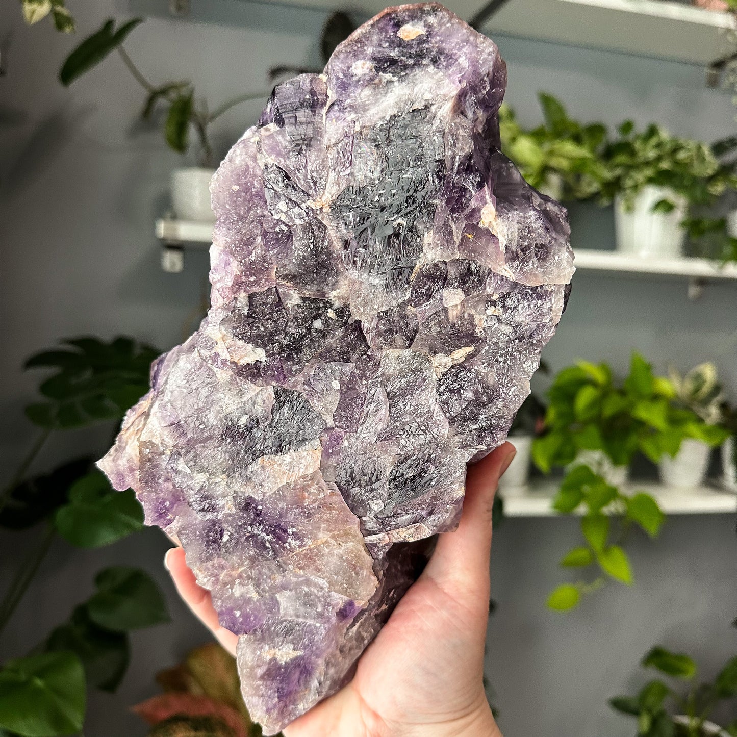 Thunder Bay Amethyst | 001