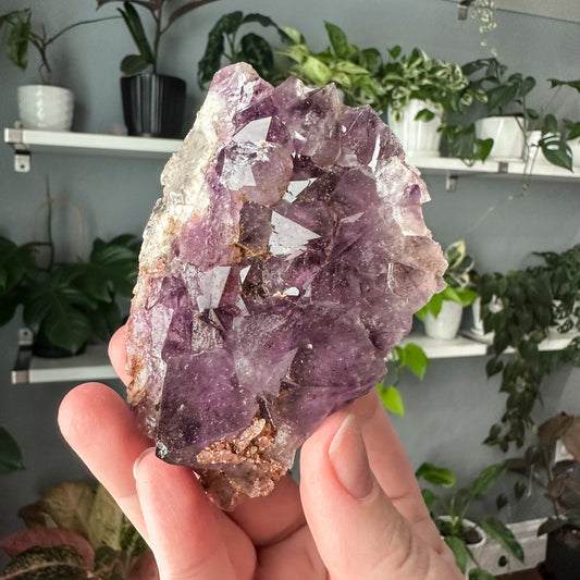 Thunder Bay Amethyst | 019