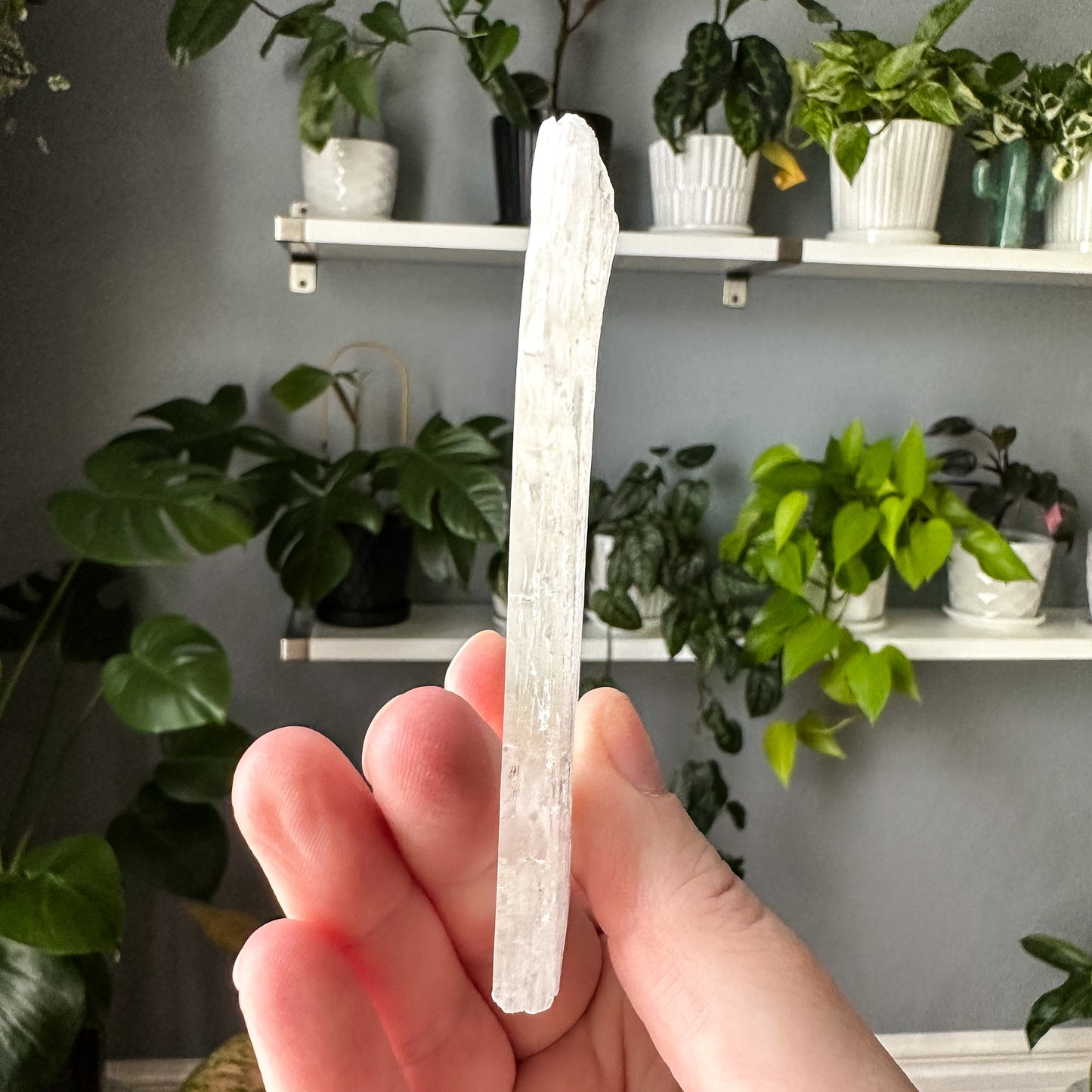 Ice Selenite