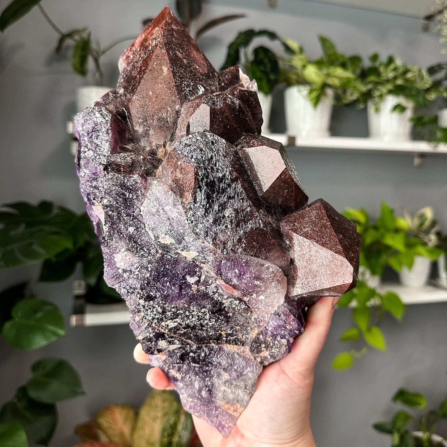 Thunder Bay Amethyst | 001