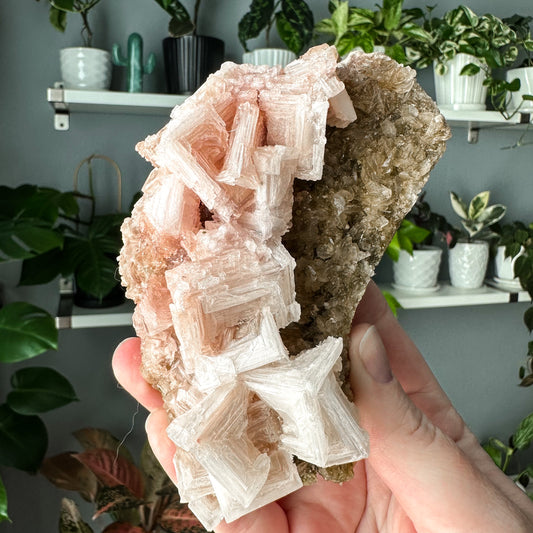 Pink Halite on Trona