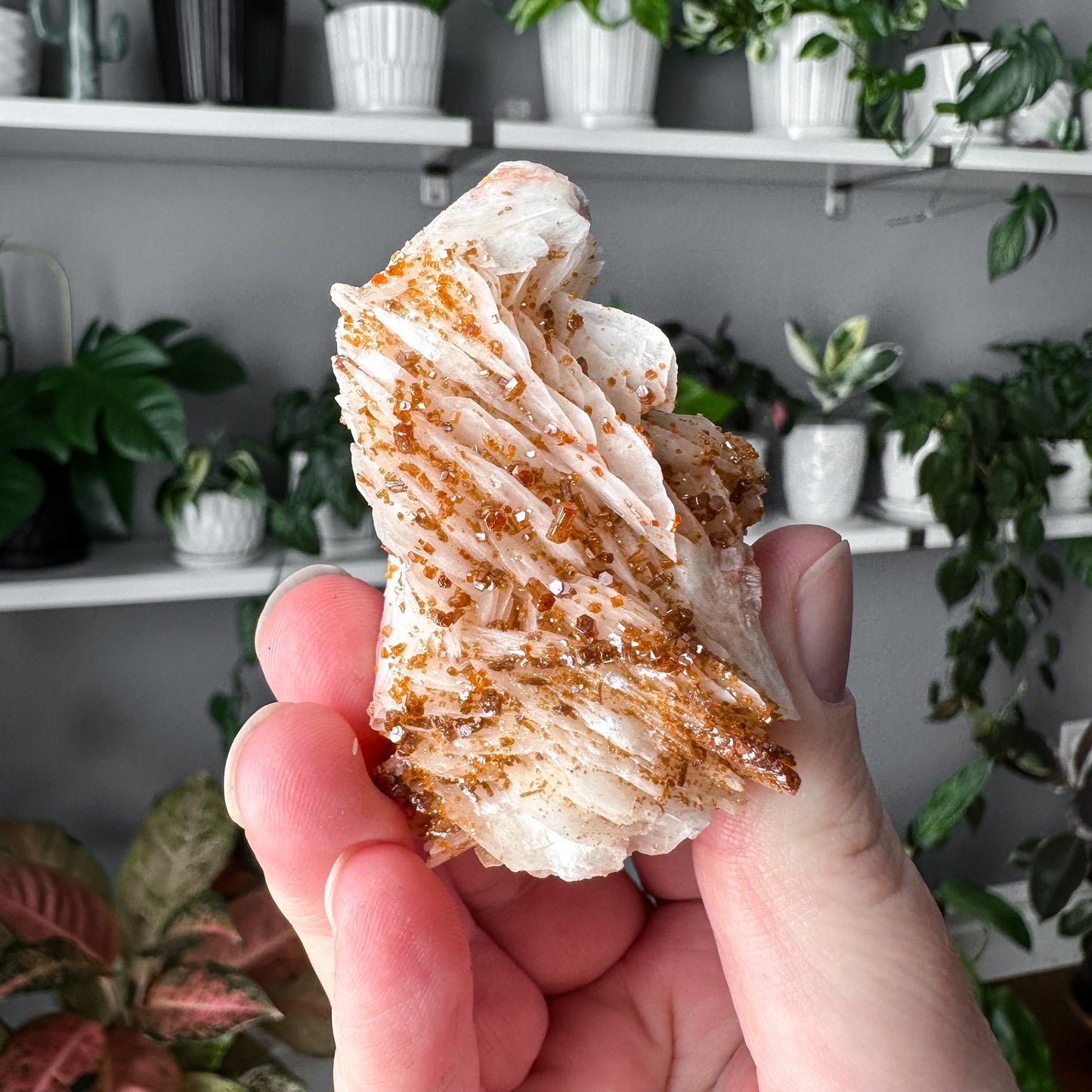 Vanadinite on Barite