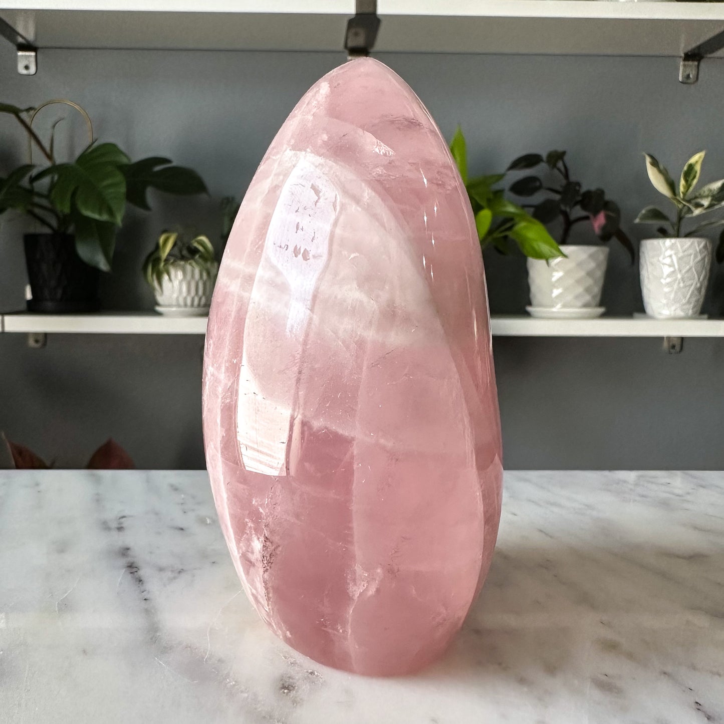 Star Rose Quartz Freeform