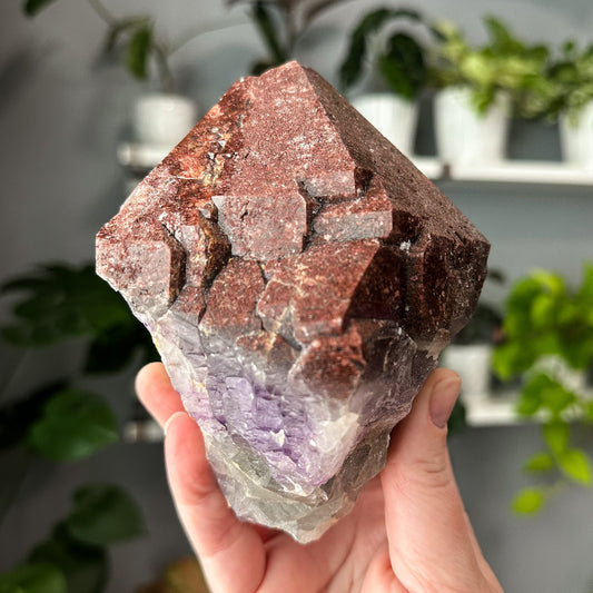 Thunder Bay Amethyst | 009