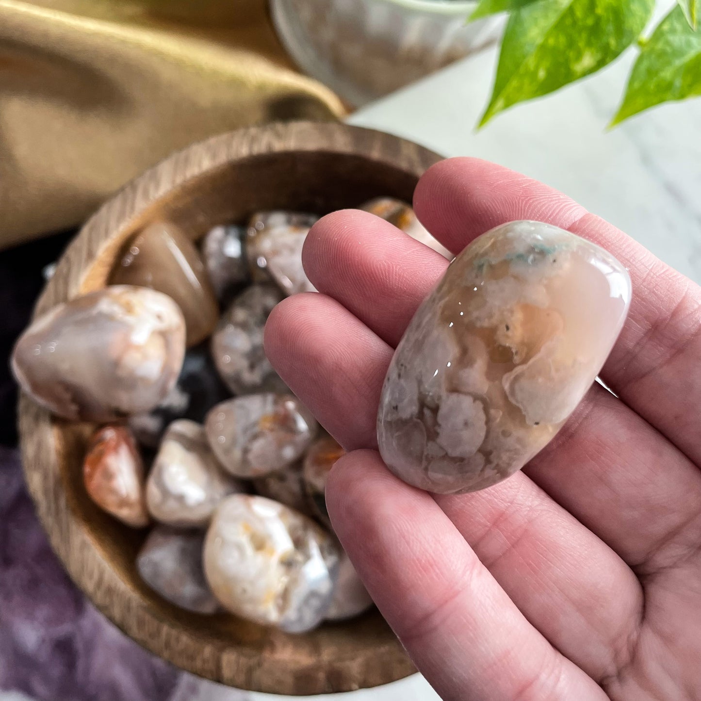 Flower Agate Tumble