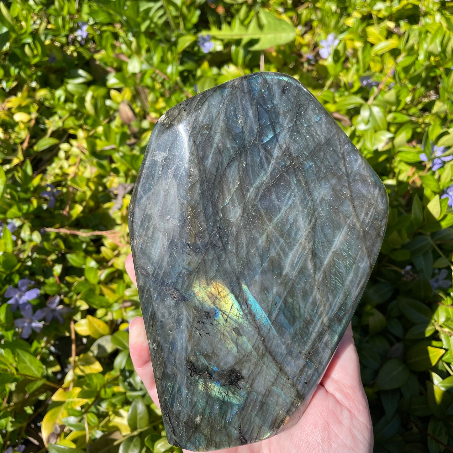 Large Labradorite Freeform