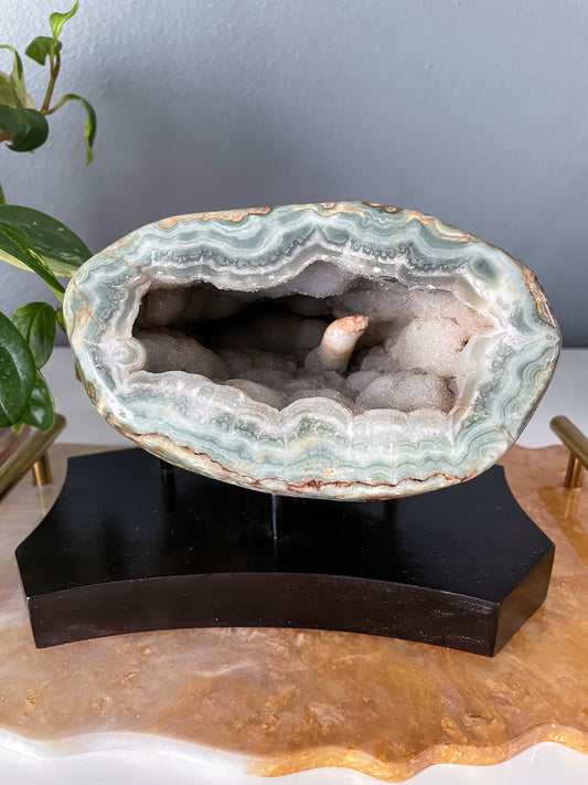 Druzy Green Jasper on Wood Base